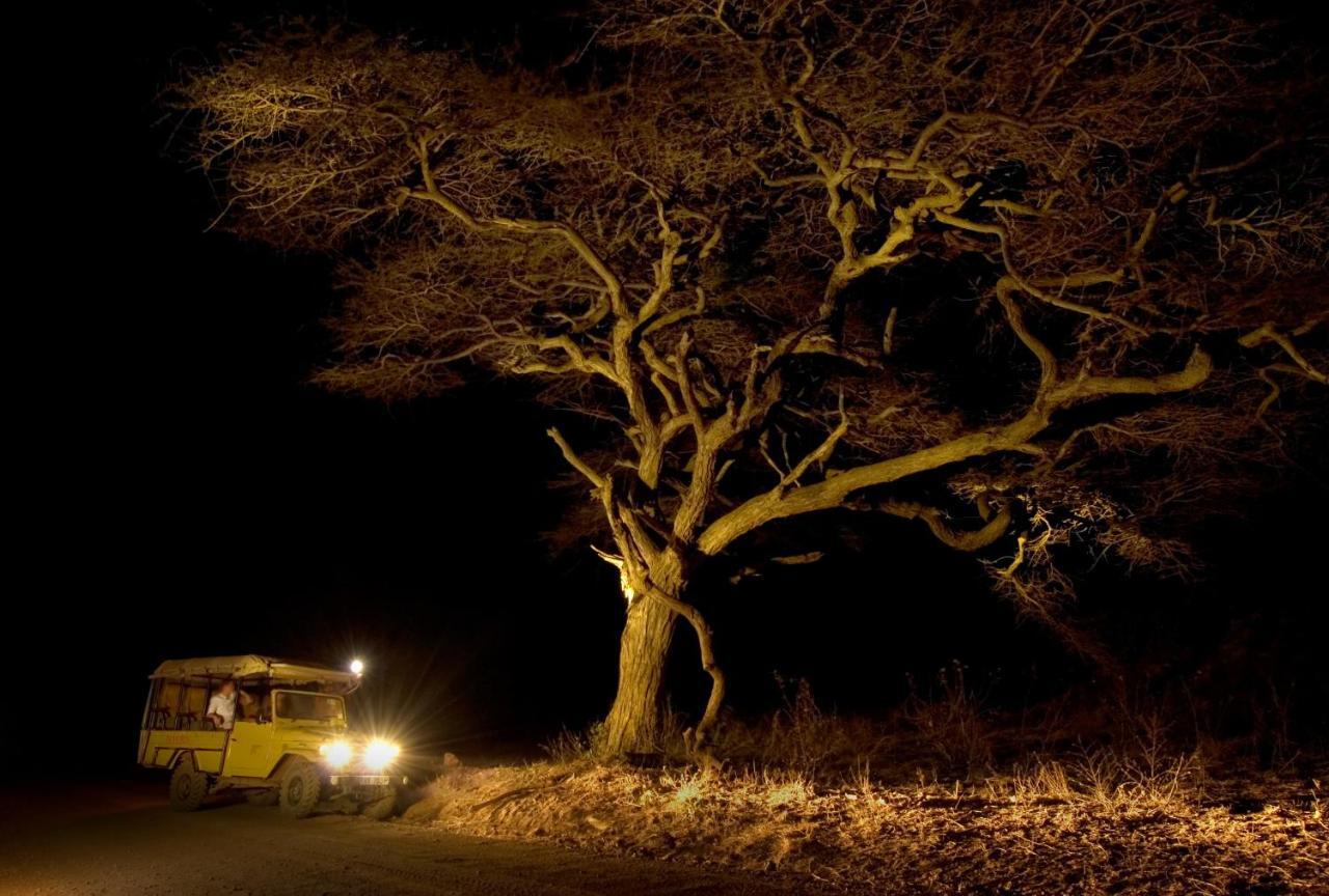 Severin Safari Camp Tsavo West National Park Luaran gambar